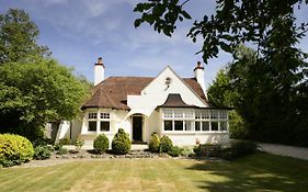 Daisybank Cottage Brockenhurst